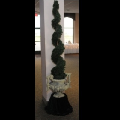 Tuscan Urn & Spiral Arborvitae - Idea Gallery - Artificial trees for rent Prom